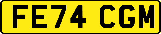 FE74CGM