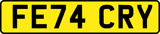 FE74CRY