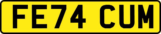 FE74CUM
