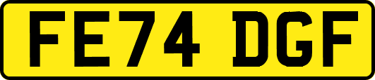 FE74DGF