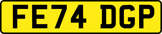 FE74DGP