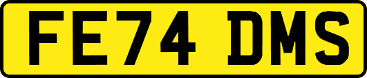 FE74DMS
