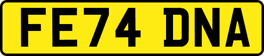 FE74DNA