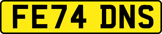 FE74DNS