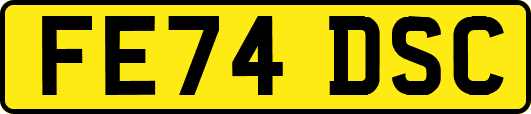 FE74DSC