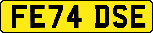 FE74DSE