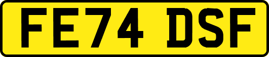FE74DSF