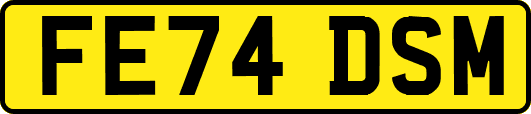 FE74DSM