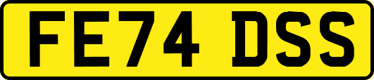FE74DSS