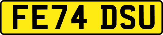 FE74DSU