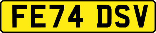 FE74DSV