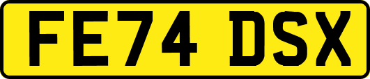FE74DSX