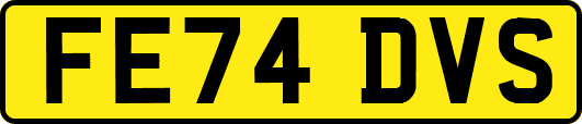 FE74DVS