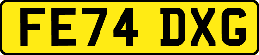 FE74DXG