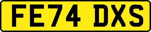 FE74DXS