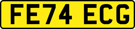 FE74ECG