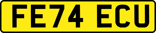 FE74ECU