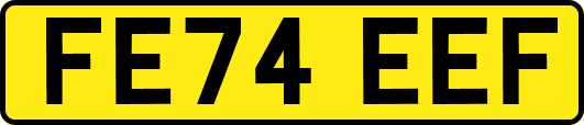 FE74EEF