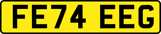 FE74EEG