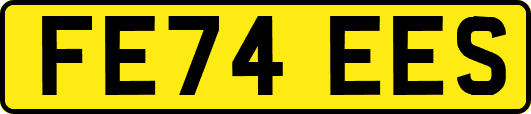 FE74EES