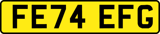 FE74EFG