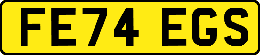FE74EGS