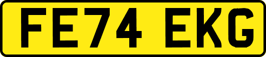 FE74EKG
