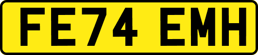 FE74EMH