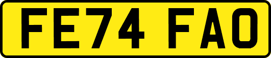FE74FAO