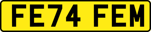 FE74FEM