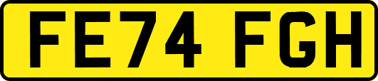 FE74FGH