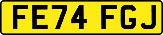 FE74FGJ