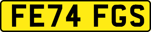 FE74FGS