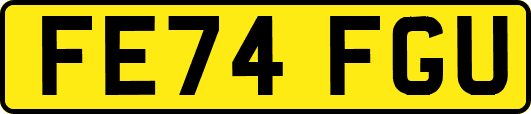 FE74FGU