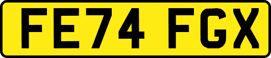FE74FGX