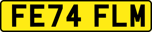 FE74FLM