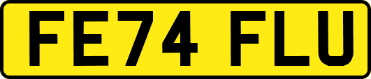 FE74FLU