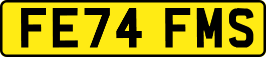 FE74FMS