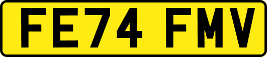 FE74FMV
