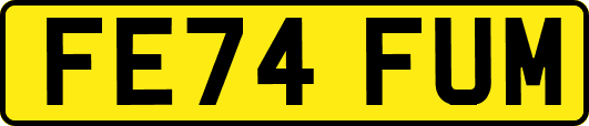 FE74FUM