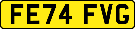 FE74FVG