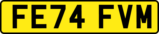 FE74FVM
