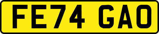 FE74GAO