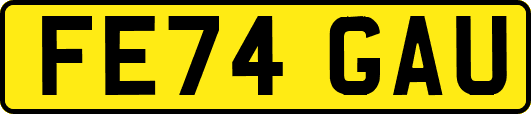 FE74GAU