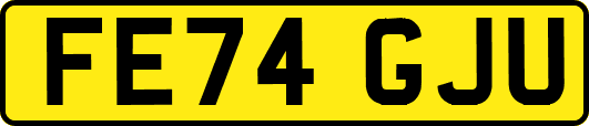 FE74GJU