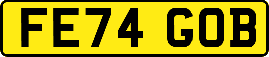 FE74GOB