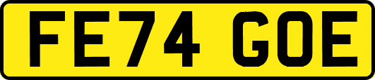 FE74GOE