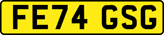 FE74GSG