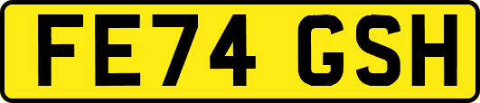 FE74GSH