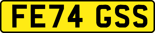 FE74GSS